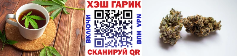 Купить закладки  Заречный  Canna-Cookies конопля 